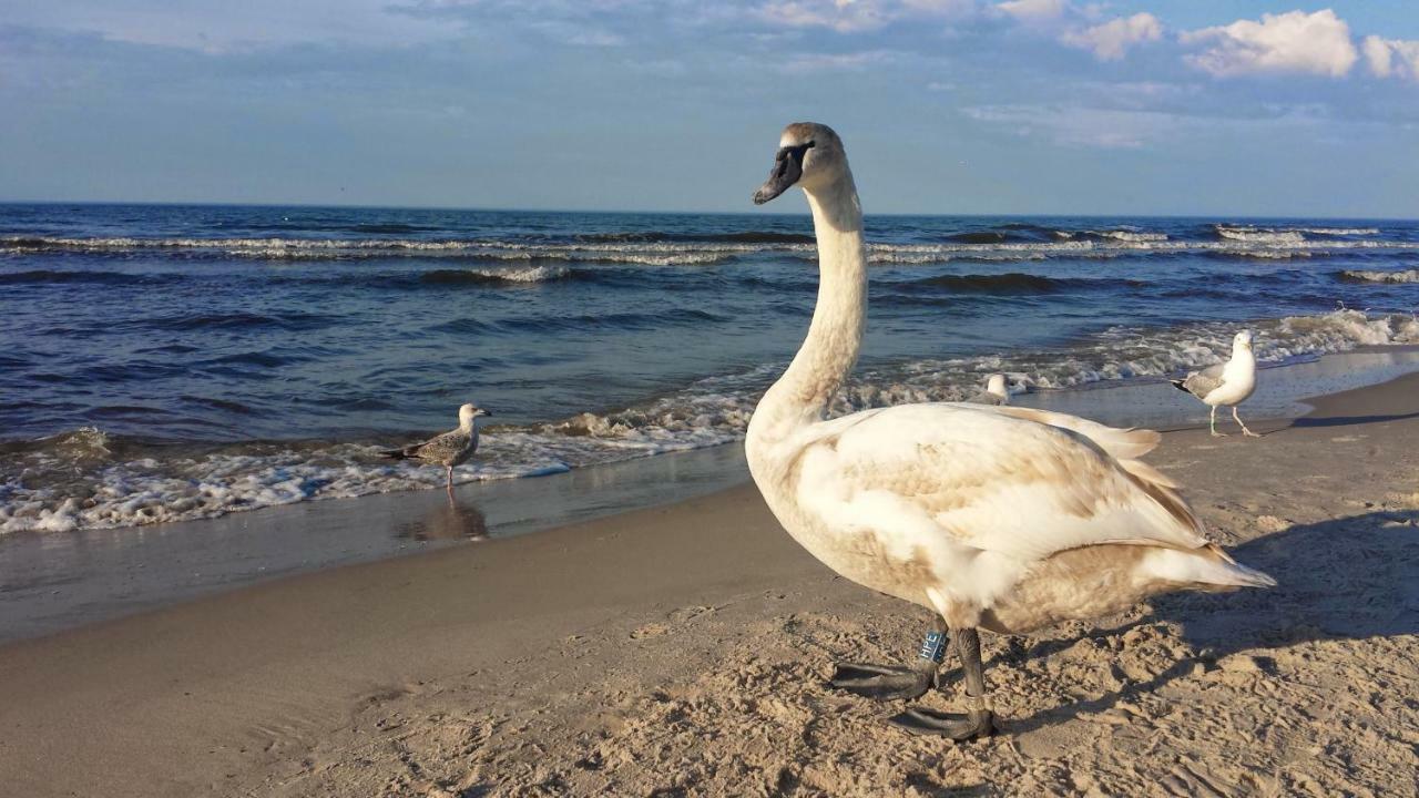 Appartamento Maustyle Osiedle Polanki Kołobrzeg Esterno foto